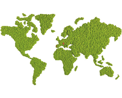 Mapa světa z mechu s označením v Evropě