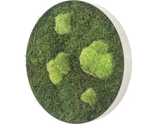 Dekorativní mechový obraz v kulatém rámu