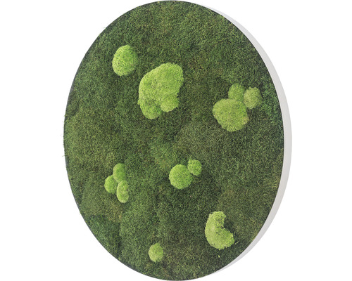 Kulatá dekorace z mechu s různými druhy mechu