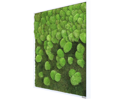 Mechový obraz s rámem pro dekoraci stěn