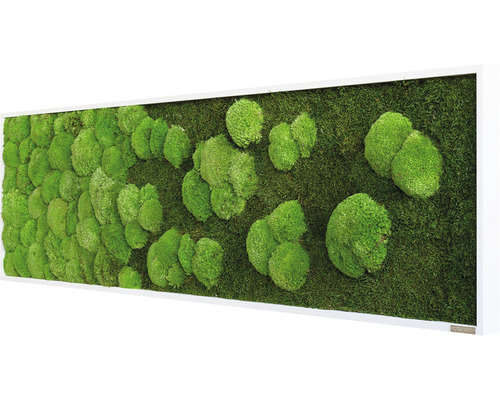 Mechový obraz s rámem