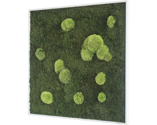 Mechový obraz s rámem a mechovými koulemi
