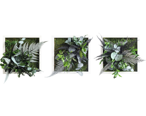 Obraz z rostlin styleGREEN Džungle 3ks 22x22 cm