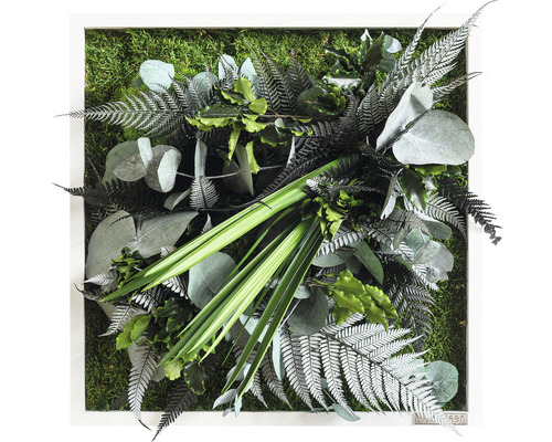 Obraz z rostlin styleGREEN Džungle 35x35 cm
