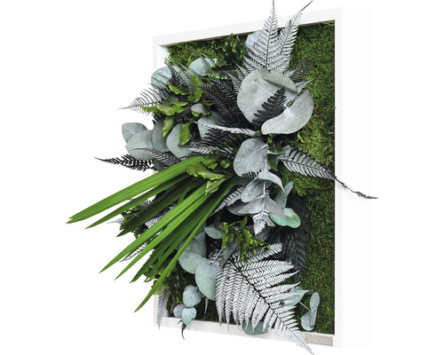 Mechový obraz s různými kapradinami a eukalyptem v bílém rámu