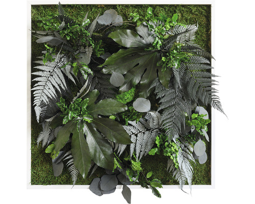 Obraz z rostlin styleGREEN Džungle 55x55 cm