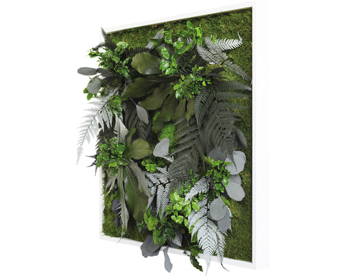 Dekorativní rostlinný obraz s různými zelenými rostlinami a mechem v bílém rámu