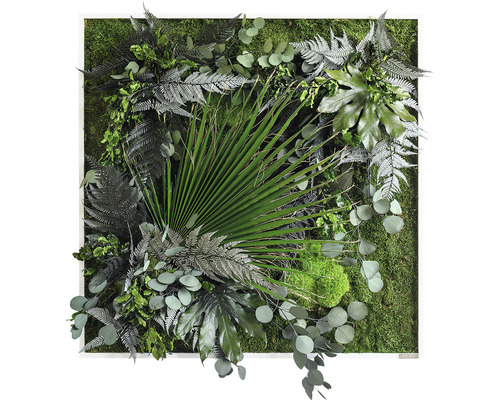 Obraz z rostlin styleGREEN Džungle 80x80 cm