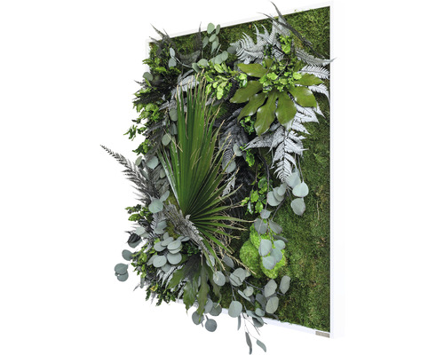 Mechový obraz s různými rostlinami v bílém rámu