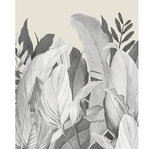 Ilustrace tropických listů