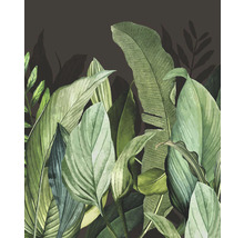 Ilustrace tropických listů