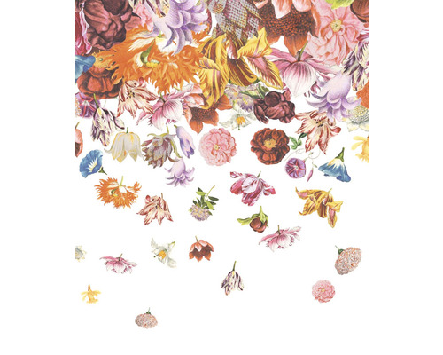 Dekorativní květinová ilustrace s různými druhy květin