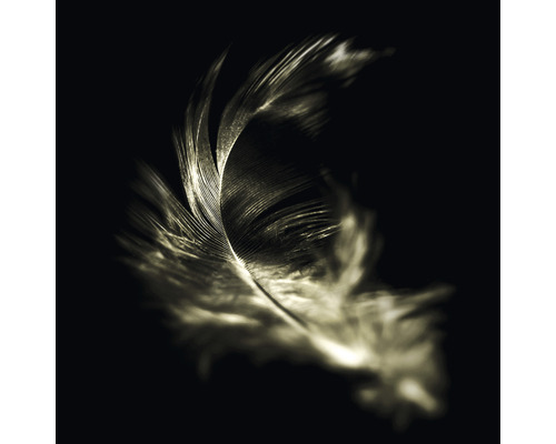 Skleněný obraz The feather 30x30 cm