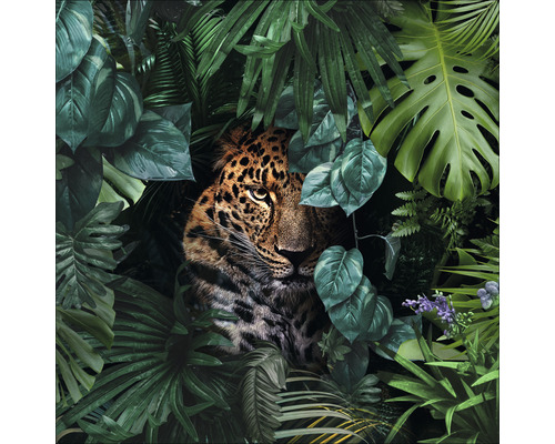 Skleněný obraz Jaguar in the jungle 50x50 cm
