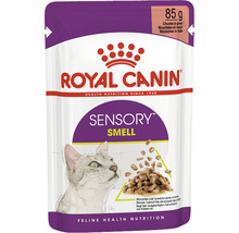 Krmivo pro kočky Royal Canin Sensory Smell, 85 gramové balení