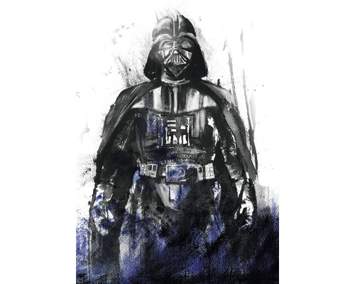 Fototapeta vliesová IADX4-017 Star Wars Watercolor Vader 200x280 cm