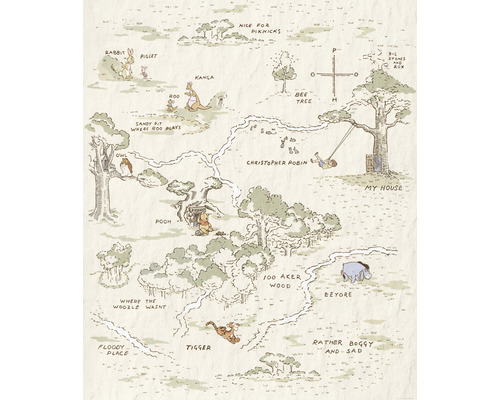 Fototapeta vliesová IADX4-042 Winnie Pooh Map 200x240 cm
