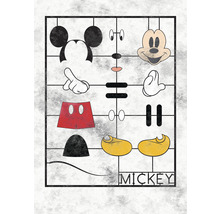 Grafické znázornění jednotlivých prvků Mickey Mouse