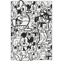 Černobílá ilustrace s Mickey Mouse a Pluto
