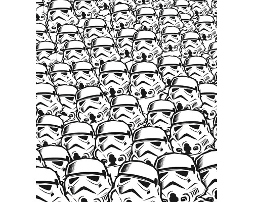 Fototapeta vliesová IADX5-015 Star Wars Stormtrooper Swarm 250x280 cm