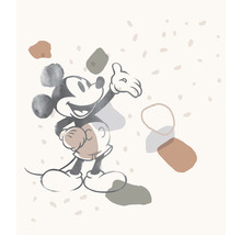 Ilustrace Mickey Mouse