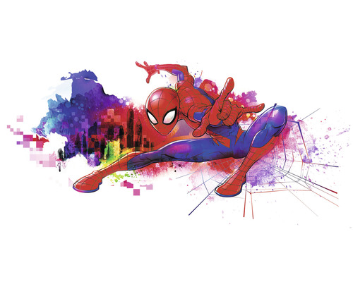 Fototapeta vliesová IADX6-082 Spider-Man Graffiti Art 300x150 cm
