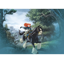 Ilustrace Meridy na koni v lese