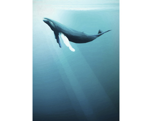 Fototapeta vliesová IAX4-0045 Artsy Humpback Whale 200x280 cm