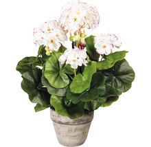 Umělá pelargonie v květináči na dekoraci