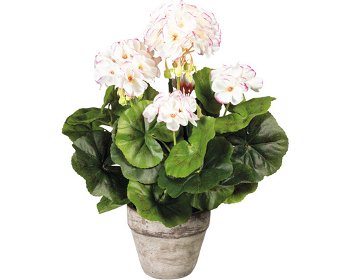 Umělá pelargonie v květináči na dekoraci