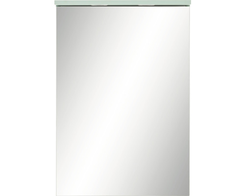 Zrcadlová skříňka Möbelpartner Spot 50,4 x 23,7 x 72,3 cm mátová zelená