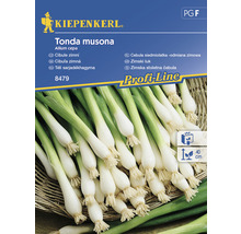 Balení semen zimní cibule Kiepenkerl Tonda Musona