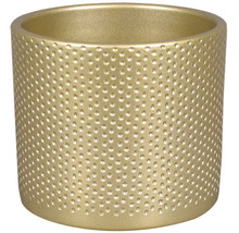 Zlatý květináč s puntíkovaným vzorem