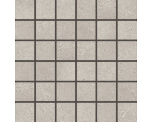 Mozaika Kalk béžovošedá 5x5/30x30 cm