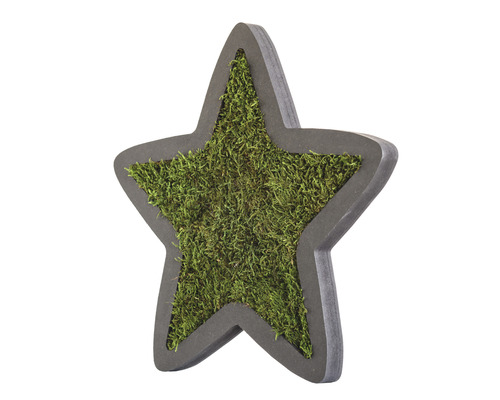 Dekorační hvězda s mechovou výplní