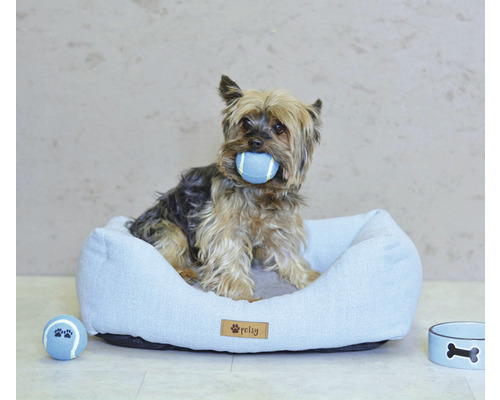 Jorkšírský teriér s míčkem v tlamě v psí posteli s míčkem a miskou