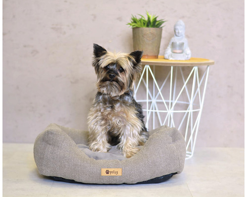 Yorkšírský teriér sedí v pelíšku pro psy.