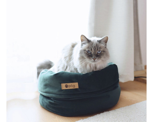 Kočka v zelené kočičí posteli