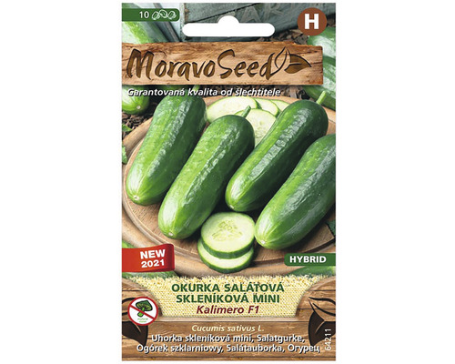 Okurka salátová do skleníku mini KALIMERO F1 MoravoSeed