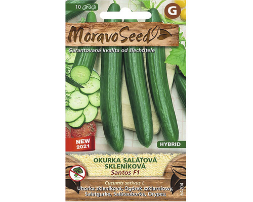 Okurka salátová do skleníku SANTOS F1 MoravoSeed