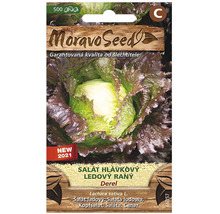 Balení semen ledového salátu Moravo Seed Derel