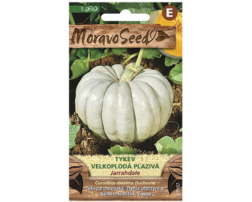 Balení semen dýně Jarrahdale