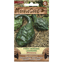 Balíček semen okrasné tykve MoravoSeed Dinosaurus