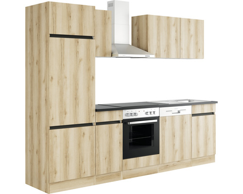 Kuchyňská linka s vestavěnými skříňkami, dřezem, sporákem a digestoří