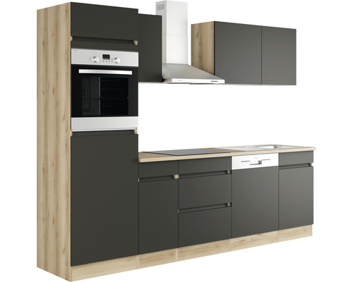 Moderní kuchyně s vestavnou troubou, digestoří a myčkou nádobí.