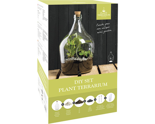 DIY sada rostlinné terárium v krabici