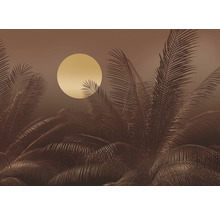 Ilustrace s palmami a sluncem
