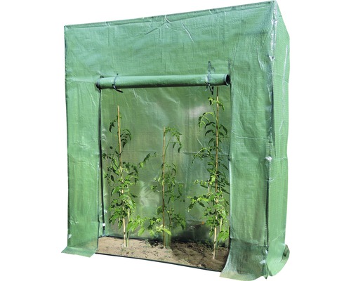 Skleník se třemi rostlinami