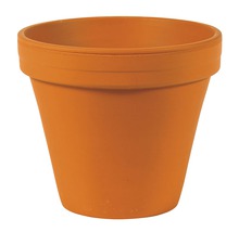 Terakotový květináč