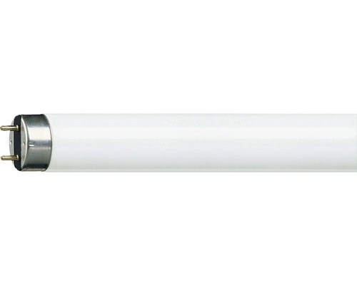 Zářivka Philips G13 18W 6500K